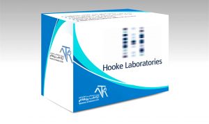 شرکت Hooke-Laboratories