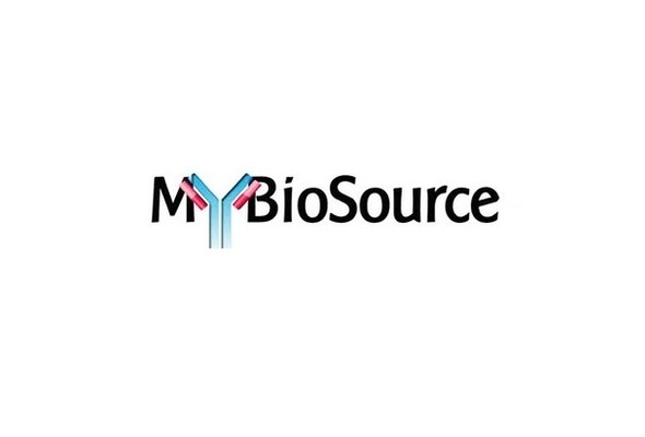 نمایندگی mybiosource