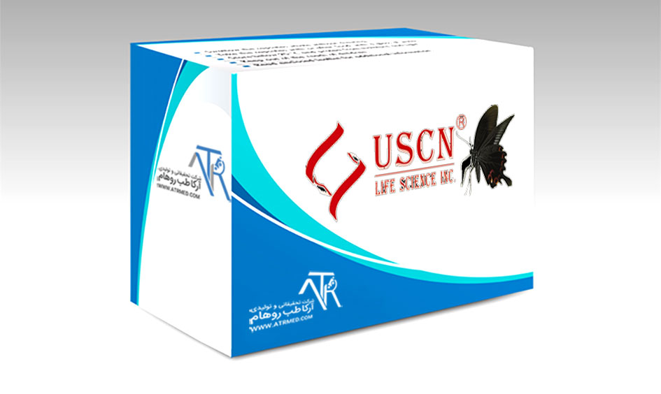 شرکت UCSN