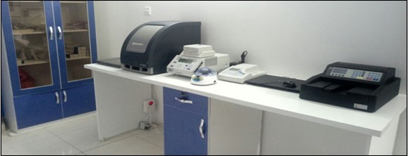 پی سی آر PCR