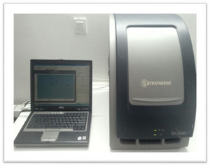 ریل تایم پی سی آر | Real-Time PCR