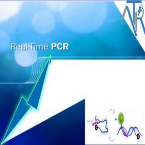 ریل تایم پی سی آر | Real-Time PCR