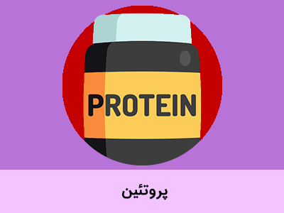 پروتئین