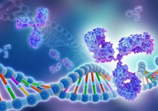 تحقیق و توسعه در زمینه تولید انواع پروتئین های نوترکیب