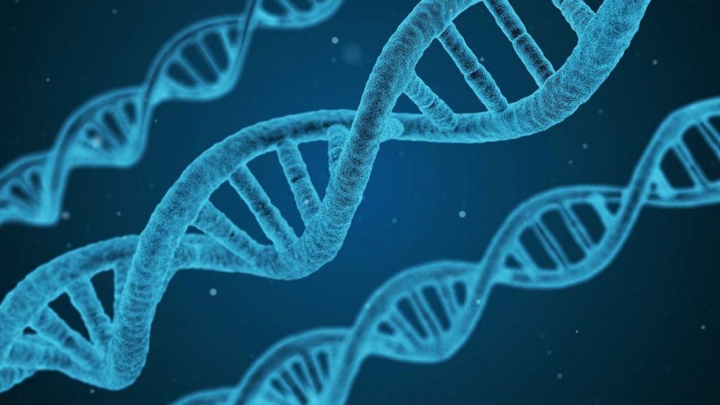 ژنتیک مولکولی چیست؟
