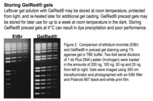 GelRed® Nucleic Acid Gel Stain, 10,000X